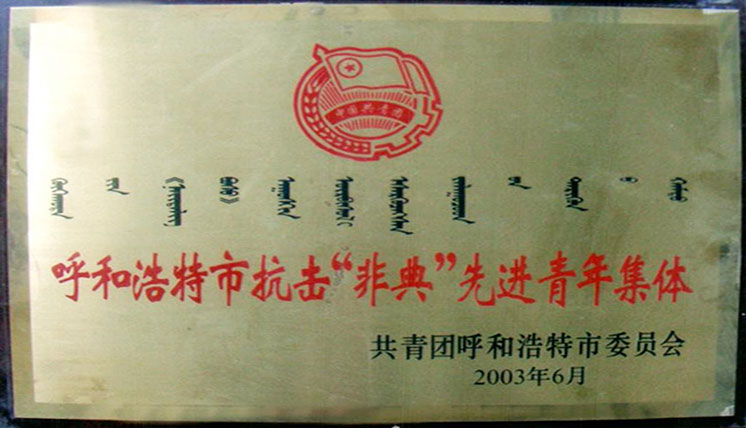 先进集体