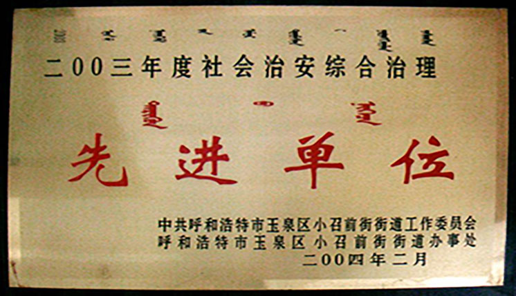2003年度社会综合治理先进集体