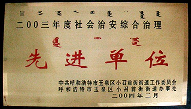 2003年度社会综合治理先进集体