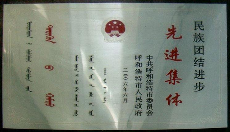 民族团结进步先进集体